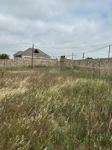 Torpaq sahələrinin satışı: 20 sot, Tikinti, Mülkiyyətçi, Bələdiyyə -da lalafo.az — 11 Torpaq sahələrinin satışı: 20 sot, Tikinti, Mülkiyyətçi, Bələdiyyə — 11