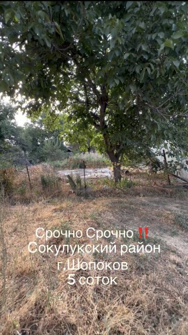 сдаю дом долгосрочно ош: 5 соток, Курулуш, Кызыл китеп, Сатып алуу-сатуу келишими