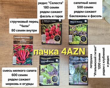 zefir bitkisi: Müxtəlif növ tərəvəz və göyərti toxumları. Hər bir paketdə müxtəlif