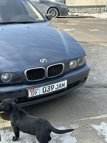 BMW: BMW 5 series: 2002 г., 2.5 л, Автомат, Бензин, Седан — 27