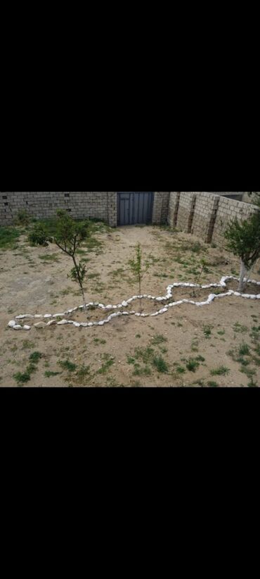 Uzunmüddətli kirayə evlər: 40 kv. m, 1 otaqlı, Qaz — 5