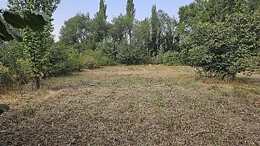 Продажа времянок: Продаю времянку с участком 16 соток (21,75 м на 74 м) в селе — 5