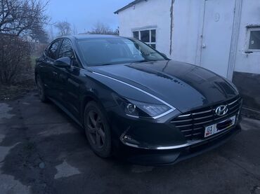 елентра хундай: Hyundai Sonata: 2019 г., 2 л, Типтроник, Газ, Седан