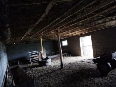 Сельхоз предприятия: Продаётся кашар с полностью огороженным участком площадью 4,5 га. На — 8