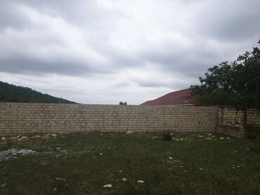 Torpaq sahələrinin satışı: 15 sot, Kənd təsərrüfatı, Mülkiyyətçi, Kupça (Çıxarış) — 10