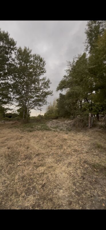 Torpaq sahələrinin satışı: 10 sot, Kupça (Çıxarış) — 9