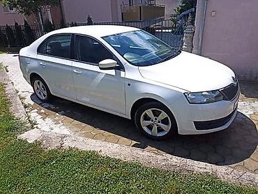 obe: HAUBE VRATA KRILA ITD ZA ŠKODA RAPID OD 2014. DO 2019. GOD. | SKODA — 1