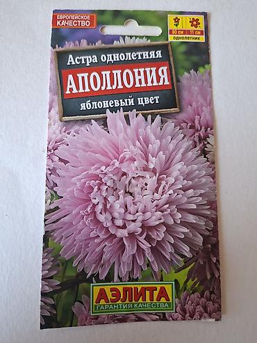 kameliya gulu: Məhsul: Mərcanotu (Margaritka) toxumları – 3 fərqli qarışıq Brend — 9