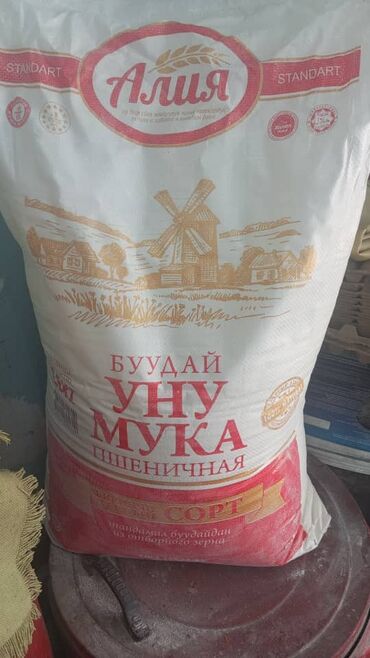 работа бариста без опыта: Требуется водитель экпедитор с грузовой машиной для доставки мучных