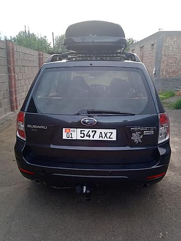 forester 2019: Subaru Forester: 2010 г., 2 л, Автомат, Бензин, Кроссовер — 5
