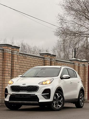Kia: Kia Sportage: 2020 г., 2 л, Автомат, Дизель, Кроссовер — 1