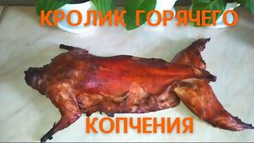 животны: Продаю | Крольчиха (самка), Кролик самец | На забой | Племенные