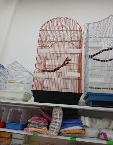 Tutuquşları: Her novde qefeslermiz var satisda maraqlamaq isdeyen elaqe saxlaya -da lalafo.az — 9 Tutuquşları: Her novde qefeslermiz var satisda maraqlamaq isdeyen elaqe saxlaya — 9