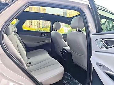 hongqi e: BYD Sea Lion 06: 2025 г., Электромобиль, Лифтбек — 1