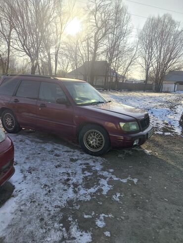 Subaru: Subaru Forester: 2000 г., 2 л, Автомат, Бензин, Универсал