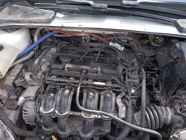 Ford: Ford Focus: 2012 г., 1.6 л, Механика, Бензин, Универсал — 15