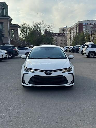 Продажа авто: Toyota Corolla: 2019 г., 1.8 л, Автомат, Гибрид, Седан — 3