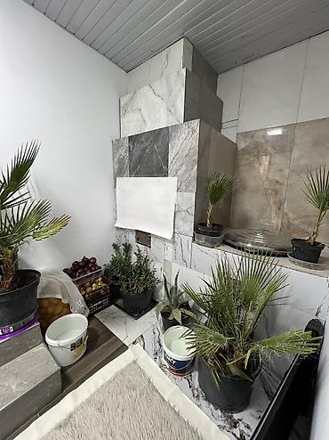 Продажа коттеджей и домов: 👉Срочно!!! Продаю дом 124м2 4,5 соток 💰72$ с.Байгелди ✅ Дом отличном — 11