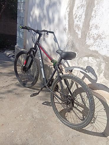 mt 09: Горный велосипед PHILLIPS Sports 26" - Рама: стальная, классическая — 1