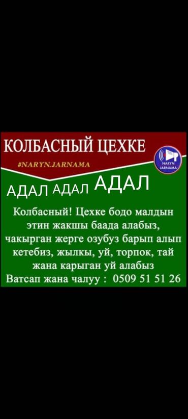 повар жумуш керек: 🇰🇬 *7 Область Жарнамасы* 🇰🇬 *Баарыңарга салам!* *Бул Кыргызстан боюнча