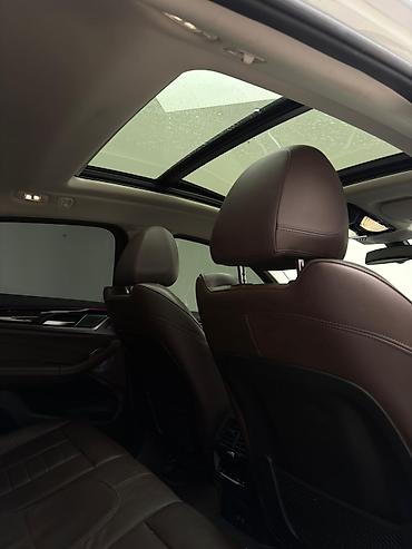 BMW: BMW X4: 2020 г., 2 л, Автомат, Дизель, Кроссовер — 17