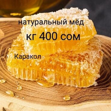 Другие услуги: Продаю мёд оптом по 350 сом и в розницу 400 сом кг -экспорцетовый 🍯