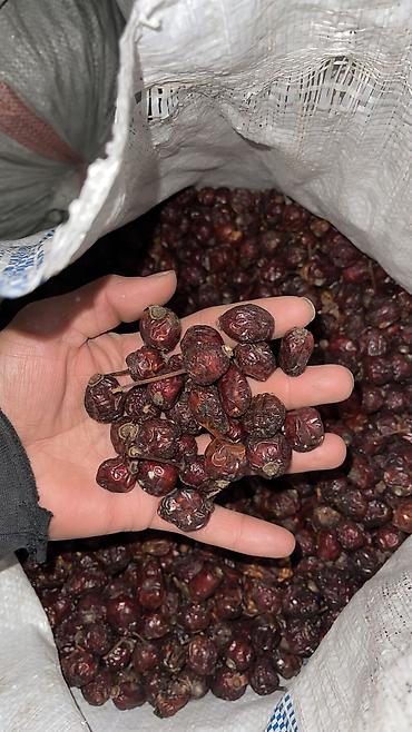 продам курей: Сушёный шиповник (цельные плоды с плодоножками) - Натуральные — 5