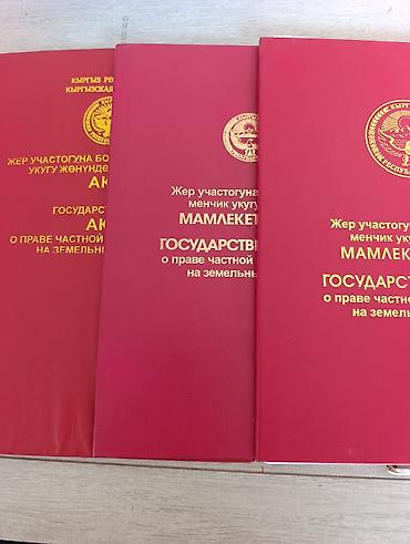 отель бишкек: 10 соток, Для бизнеса, Красная книга — 2
