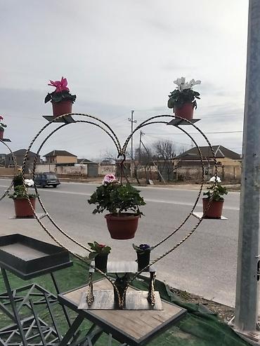 Digər bağ, çöl mebeli: Bağ üçün dekorativ ağ taxta trellis qövs - Material: ağ rəngdə — 9