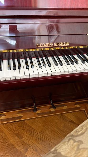 Alexander Herrmann şaquli piano - Marka/model: Alexander Herrmann