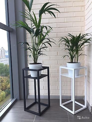 Полки, этажерки для цветов: Полки для цветов — 12