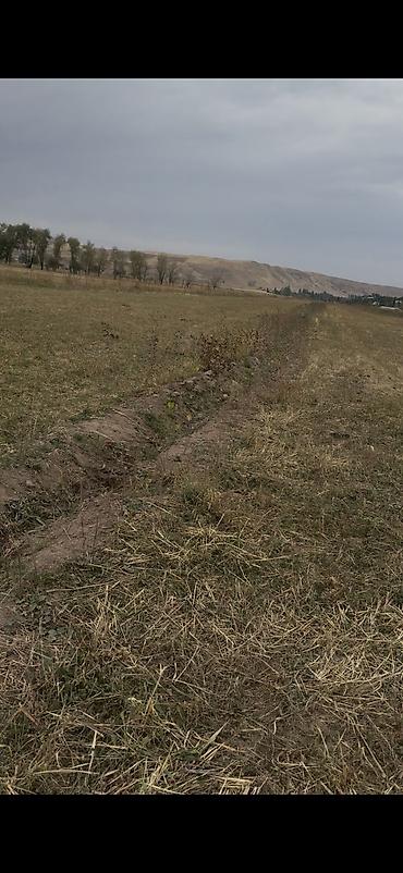 село рот фронт: 1904 соток, Для сельского хозяйства, Договор дарения — 1