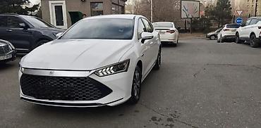 byd taksi: BYD Qin Plus DM-i plug-in hibrid sedan - Gözoxşayan ağ kuzov — 1
