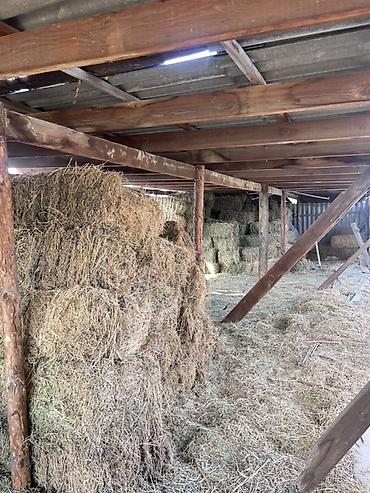 Корма для с/х животных: Сено в тюках - Прессованное сено в прямоугольных тюках, аккуратная — 9