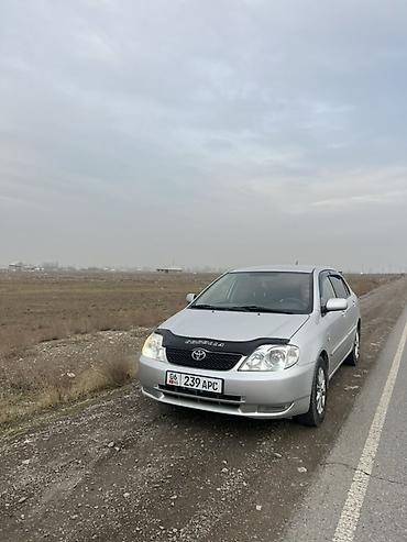 Toyota: Toyota Corolla: 2003 г., 1.6 л, Автомат, Бензин, Седан — 10