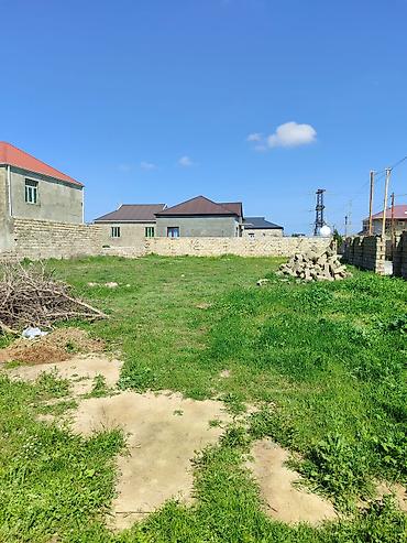 pulsuz elan yerləşdir: 5 sot, Kənd təsərrüfatı, Mülkiyyətçi, Kupça (Çıxarış) — 5