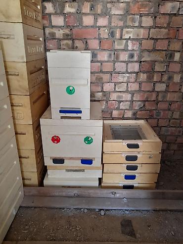 Товары и оборудование для с/х животных: Предлагаются ульи Дадан и 6-рамочники для пчеловодства. Ульи Дадан — 21