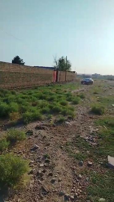 lökbatanda torpaq: 138 sot, Kənd təsərrüfatı, Mülkiyyətçi, Kupça (Çıxarış) — 5
