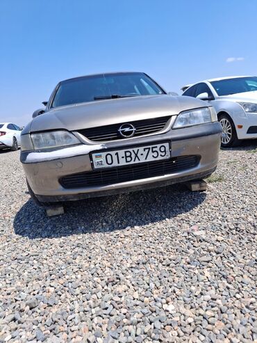 Opel: Opel Vectra: 1.6 l | 1997 il 8000000 km Sedan