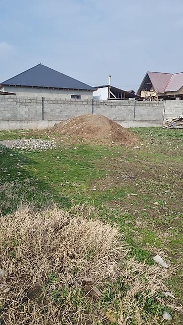 8 соток, Курулуш, Кызыл китеп — 4