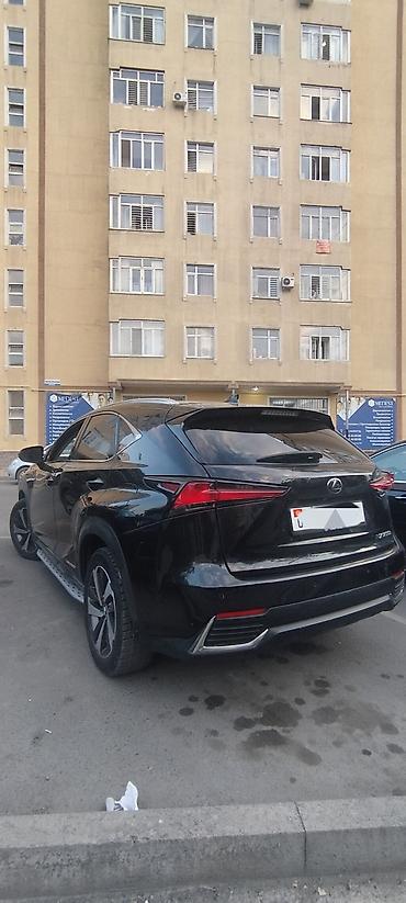 lync co: Lexus NX: 2018 г., 2.5 л, Гибрид — 3