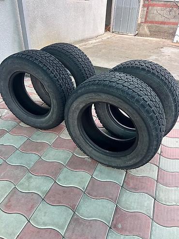 Комплект зимних шин (4 шт.) - Размер: 285/60 R18 116Q - Тип: зимние