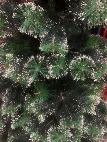 Yeni il ağacları: Hündürlüyü 2 m10 sm Eni 1 m 10 sm Süslənməyə hazır, qarlı effektli — 2