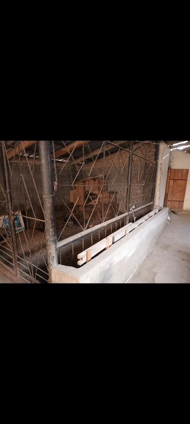 Продажа домов: Дом, 143 м², 7 комнат, Собственник, Косметический ремонт — 9