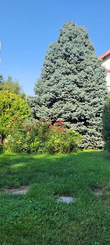 Дома: 288 м², 5 комнат, ТЭЦ, Семейным — 10