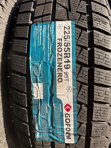 2356516 шины: Зимние шины GOFORM FROZENERO 225/55 R19 99T - Сезон: зима (снежинка — 1