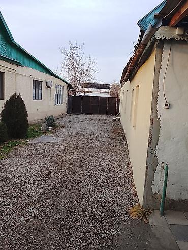 летние: Продаю дом село Новопокровка. Первая линия. 21.500соток. Дом 200кв — 2