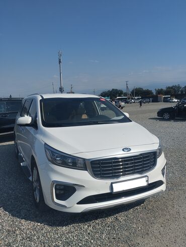 проводка коса: Kia Carnival: 2019 г., 2.2 л, Автомат, Дизель, Минивэн