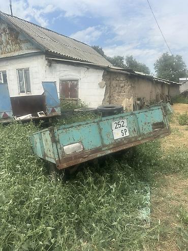 оптом светы: 22 за 2 — 1