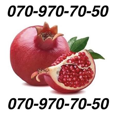 gizli nomre ile zeng etmek azercell: Номер: ( 070 ) ( 709707050 )